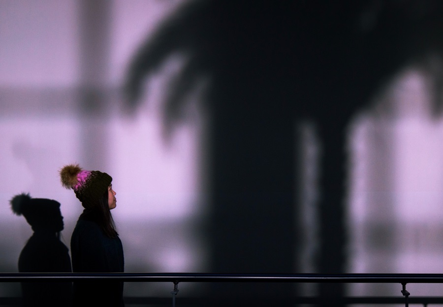 personality measurement, online surveys