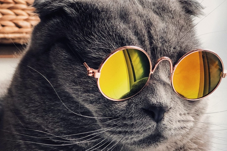 niche online audiences uk